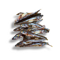 Fishy Snack - Latterini Essiccati per Cani e Gatti