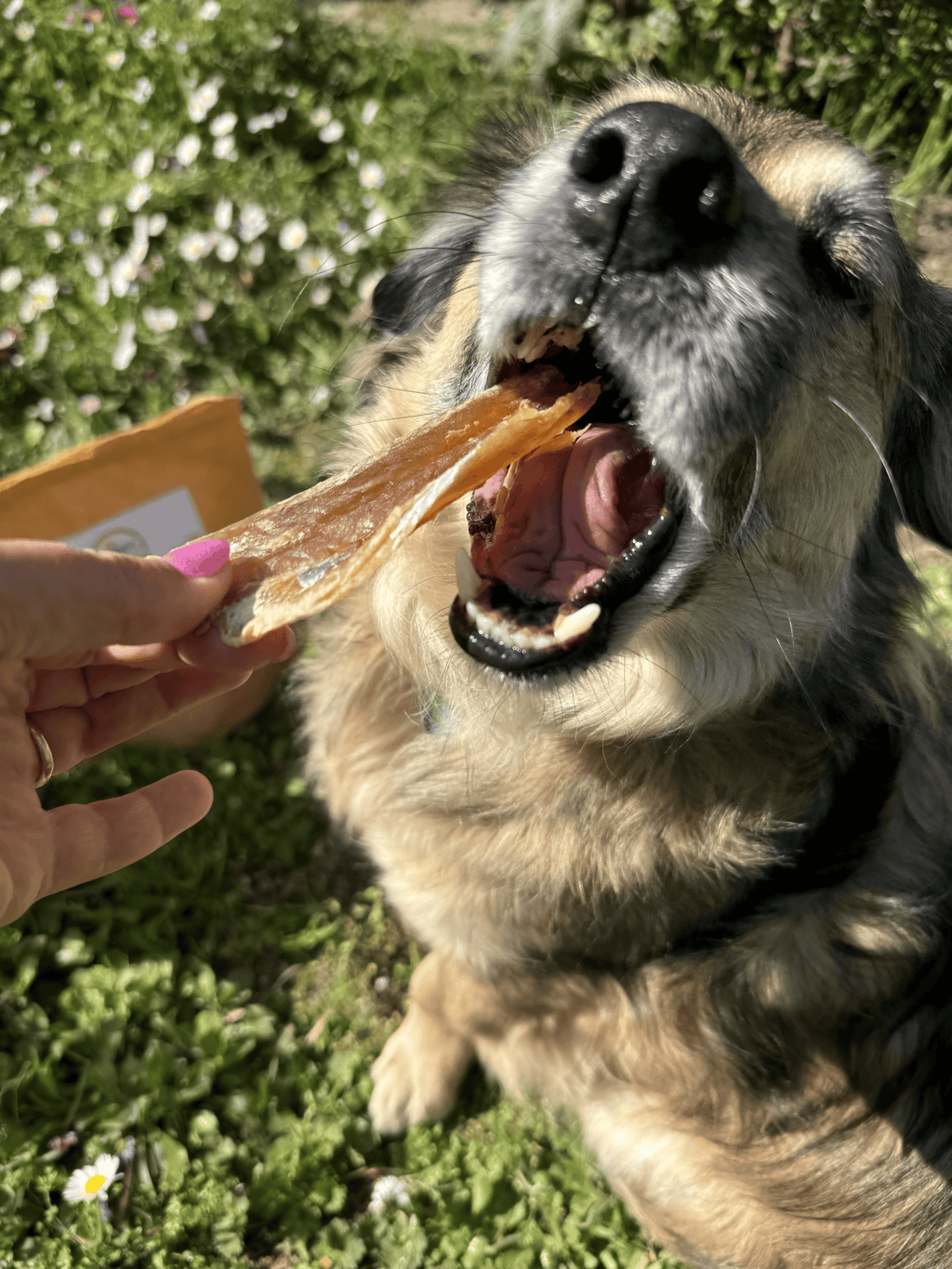 Fishy Snack - Filetti di Merluzzo Essiccati
